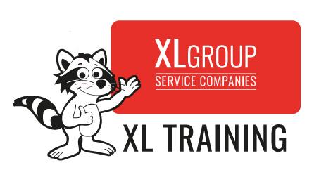 XL Group