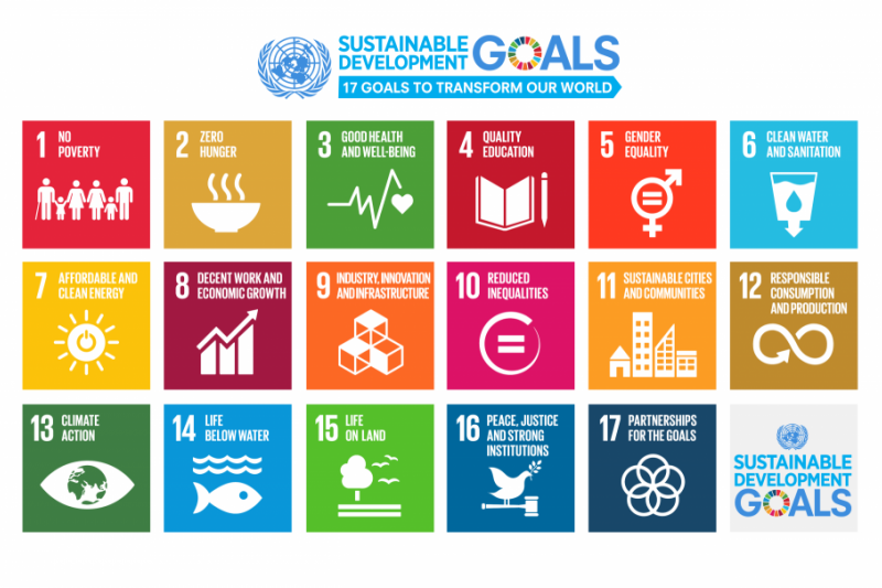 SDG Roadmap