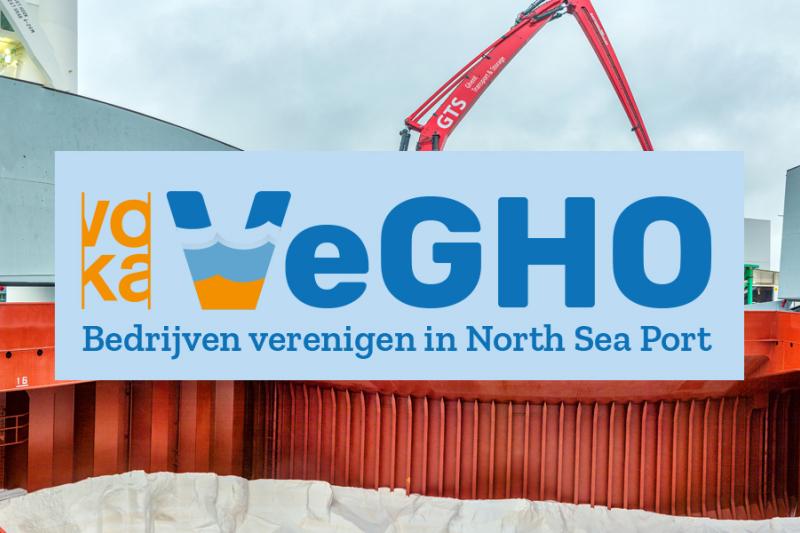 vegho logo image