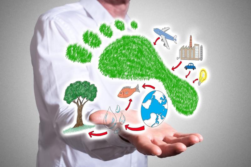 Atelier Carbon Footprint