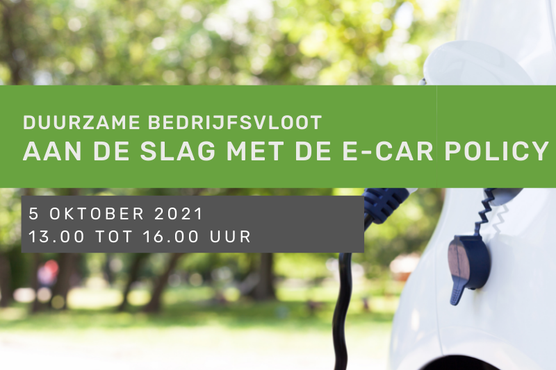 e-car policy