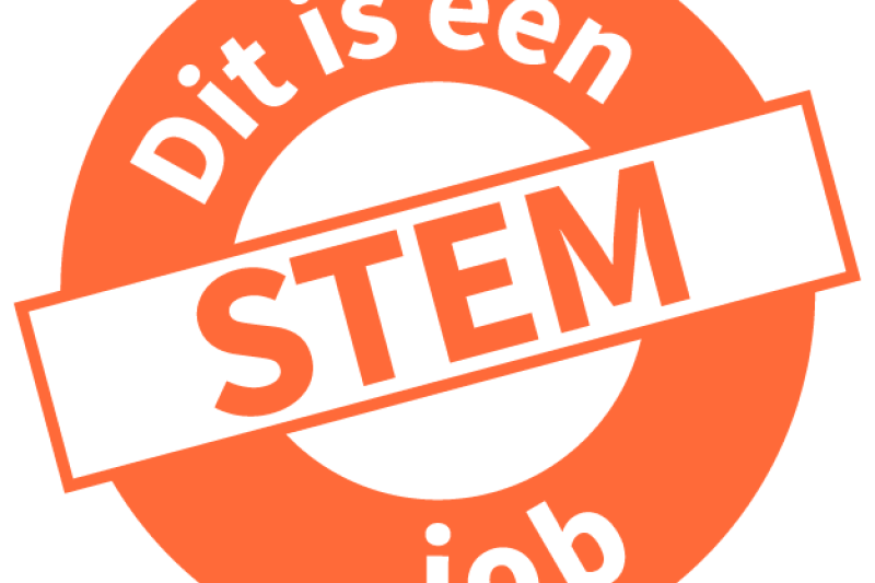 logo stem job