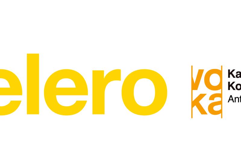 Accelero info- en inspiratiesessie | Het coachingstraject voor snelgroeiende KMO's
