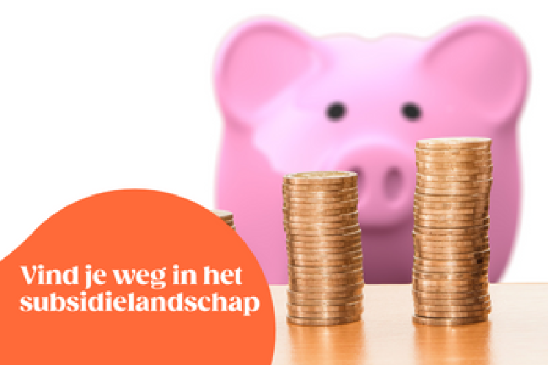 Vind je weg in het subsidielandschap