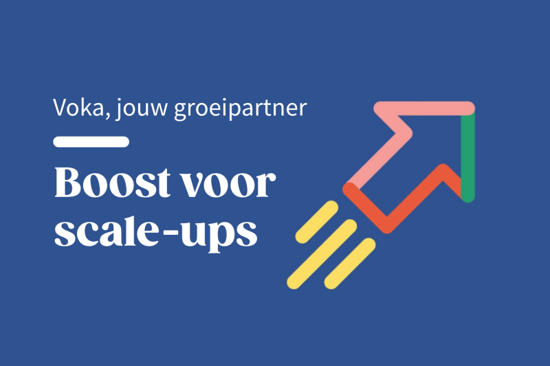 voka voor scaleups