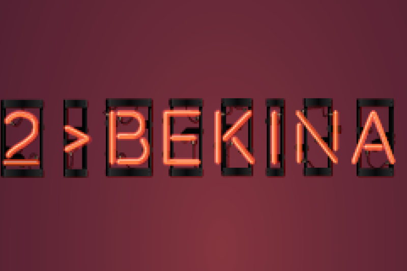 Lichtend voorbeeld 2: Bekina