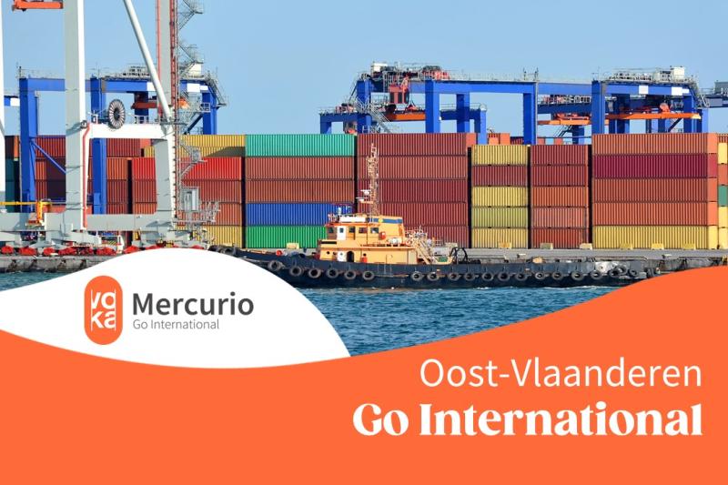 Mercurio Go International