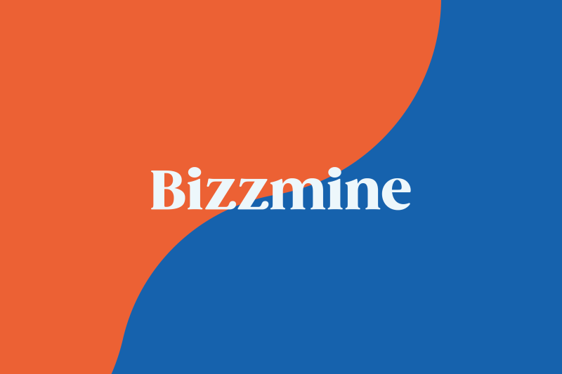 Bizzmine