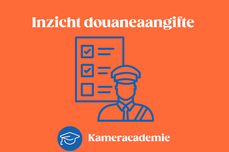 Inzicht Duoaneaangifte