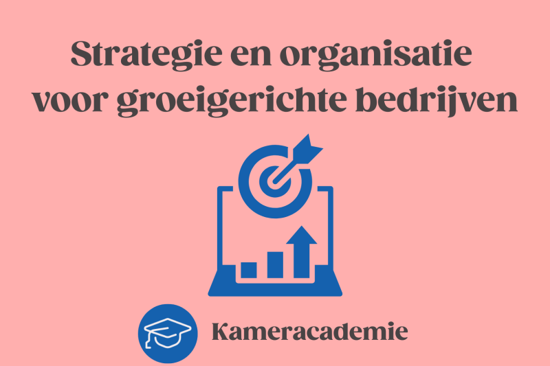 Strategie en organisatie