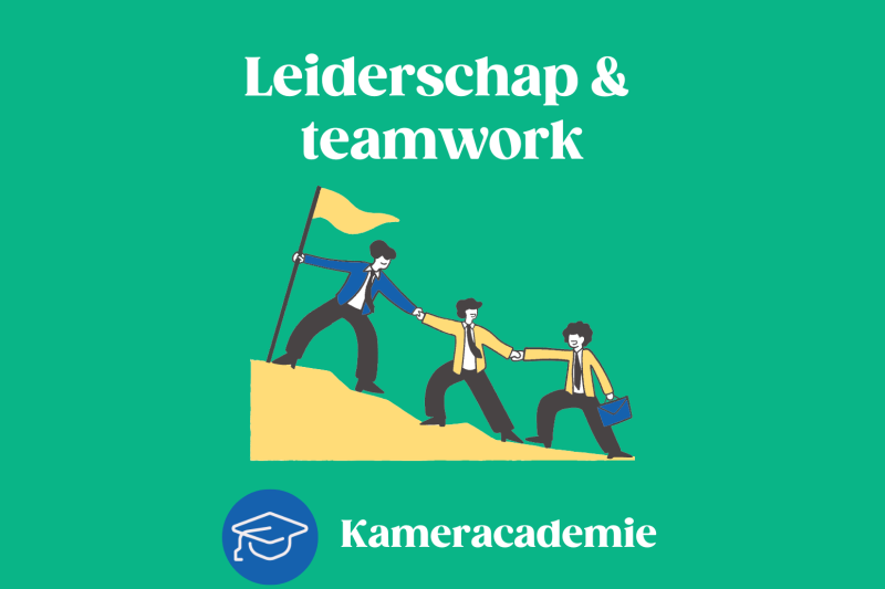 Masterclass leiderschap - De kracht en meerwaarde van een kleurrijk team