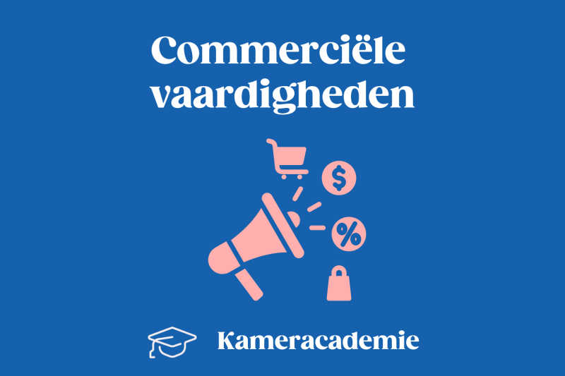 Commerciële vaardigheden