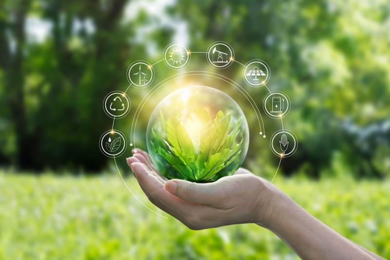 sustainability