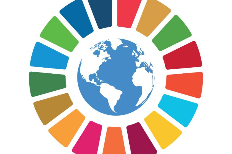 Seminarie: De Sustainable Development Goals: academisch concept of praktische leidraad?