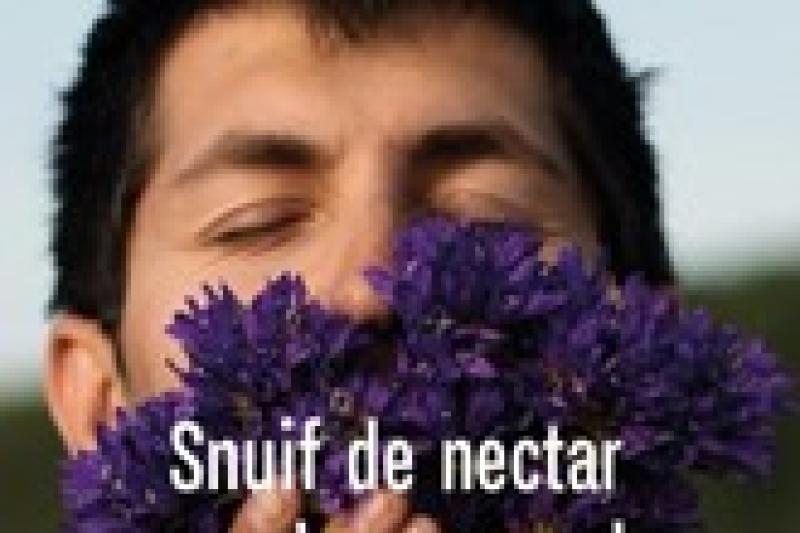 Snuif de nectar van ondernemerschap