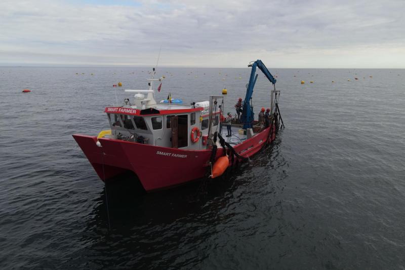 Colruyt Group pioniert met zeeboerderij