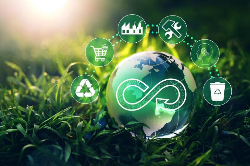 Circulaire Roadtrip: Laat je inspireren door Paneltim, Westlandia, Waak en Wienerberger