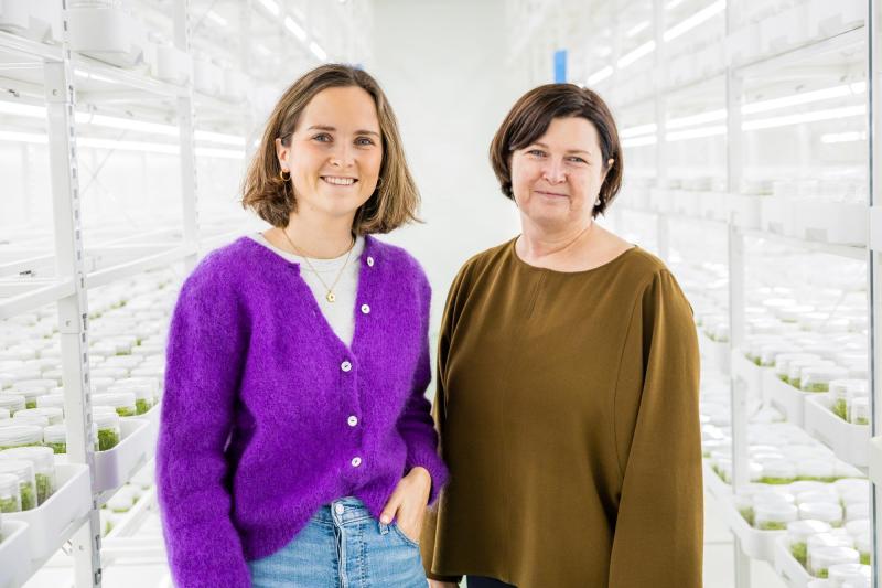 Plant Select creëert toekomstige planten