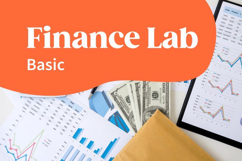 finance lab basic