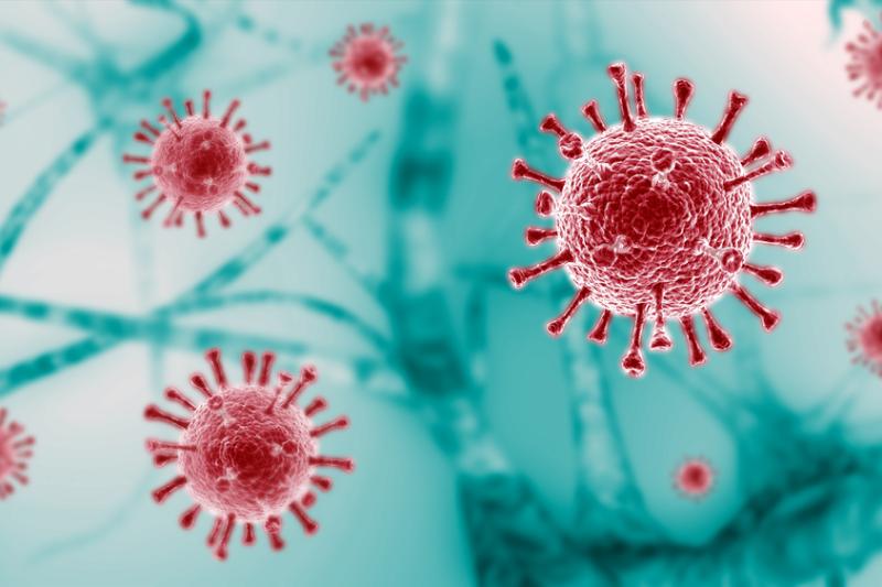 coronavirus