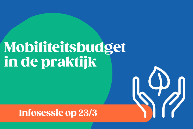 Mobiliteitsbudget in de praktijk 