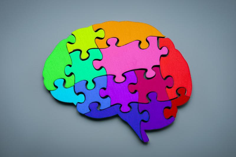 gekleurde puzzelstukken in vorm van brein