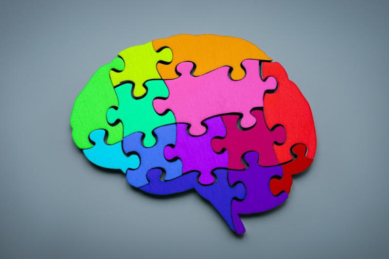 gekleurde puzzelstukken in vorm van brein