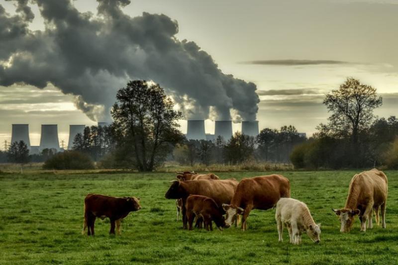 Zonder stikstofkader komt Vlaanderen tot stilstand 