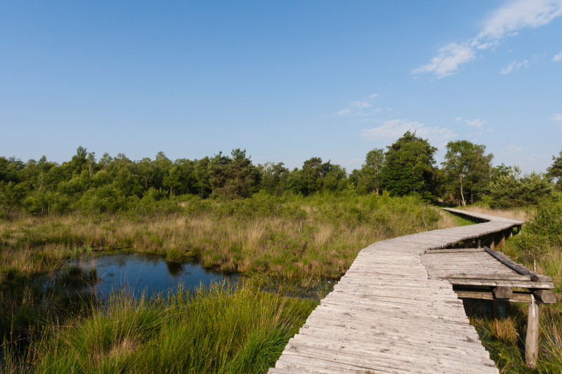 natuur