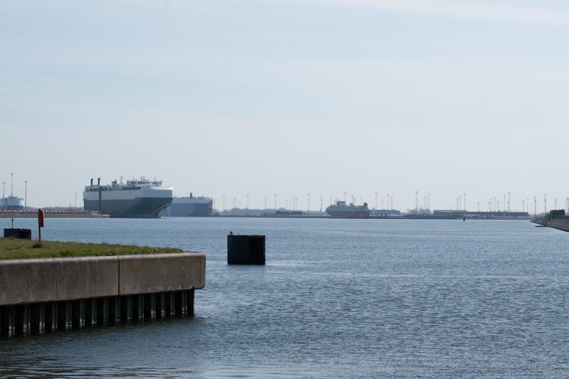 Impact kustbescherming op de haven van Zeebrugge