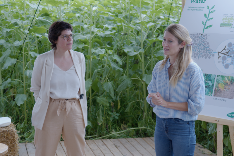 Tinne Van der Straeten op Voka Zomerstage bij Ardo