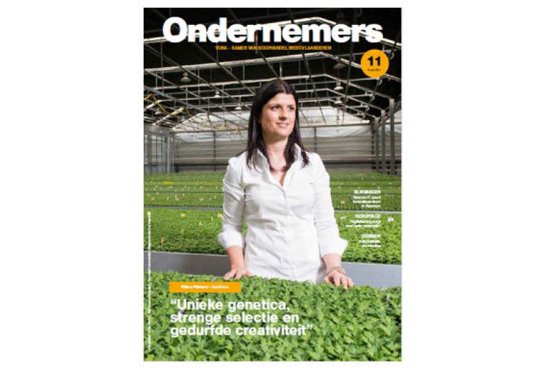 Ondernemers 11