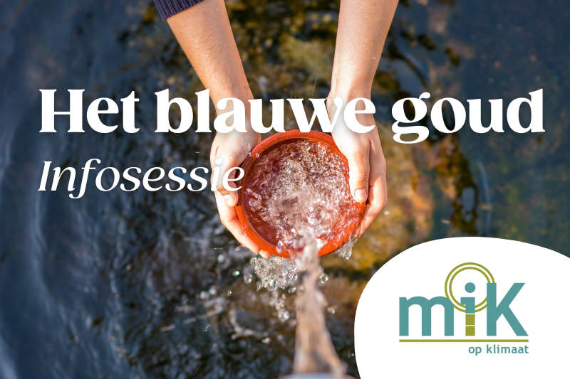 Het blauwe goud