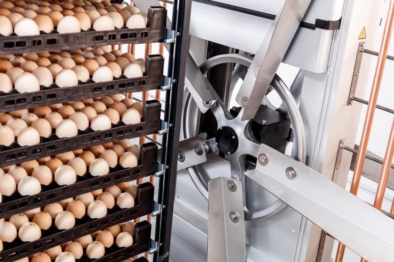 Petersime Belgium 75 jaar:  Helft van de broedmachines wereldwijd komt van Petersime