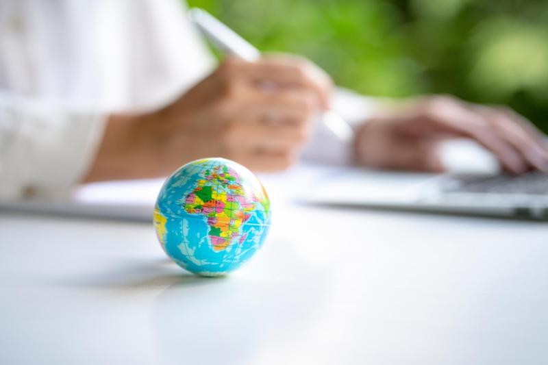 International Expansion: agents, offices and distributors
