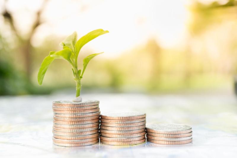 Vlaamse subsidies voor internationalisering