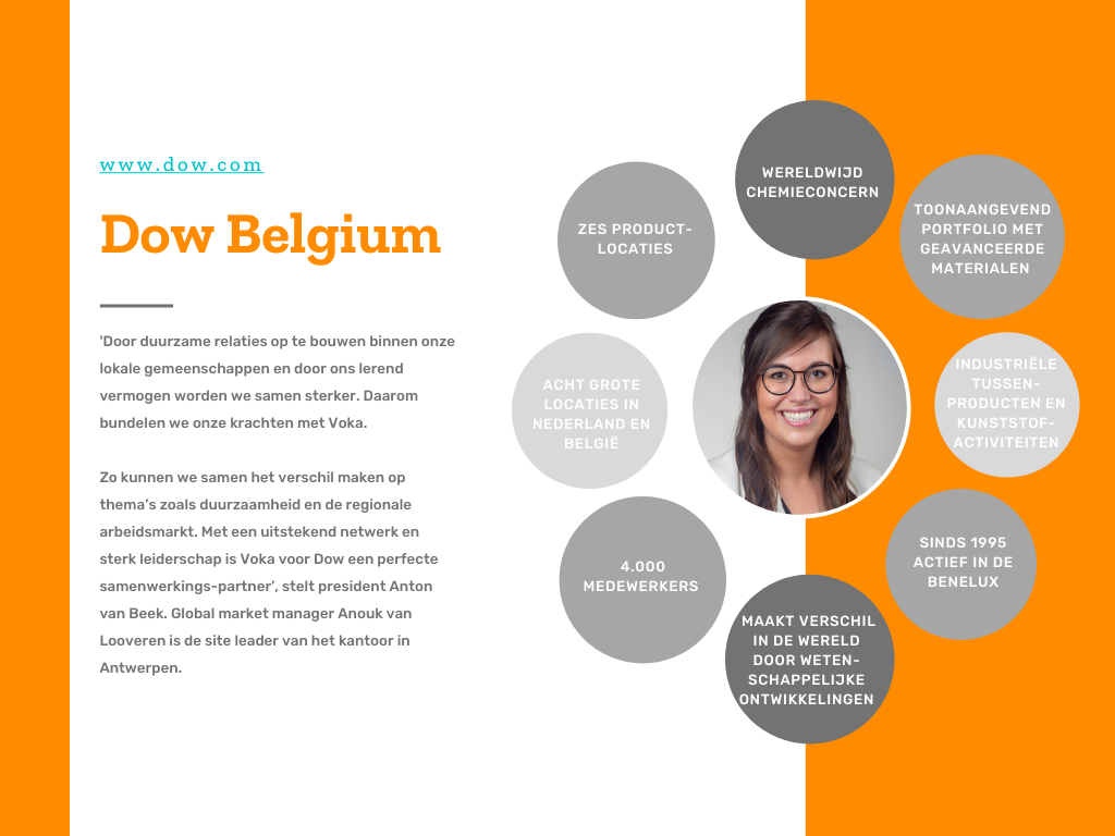 Dow Belgium