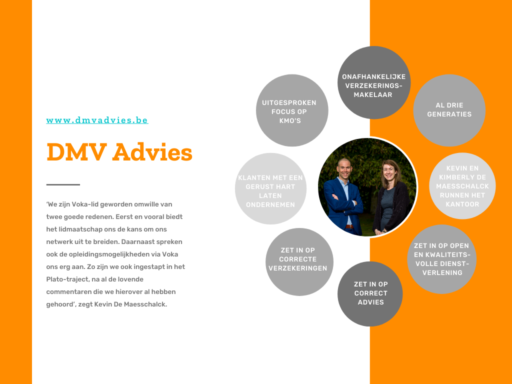 DMV Advies