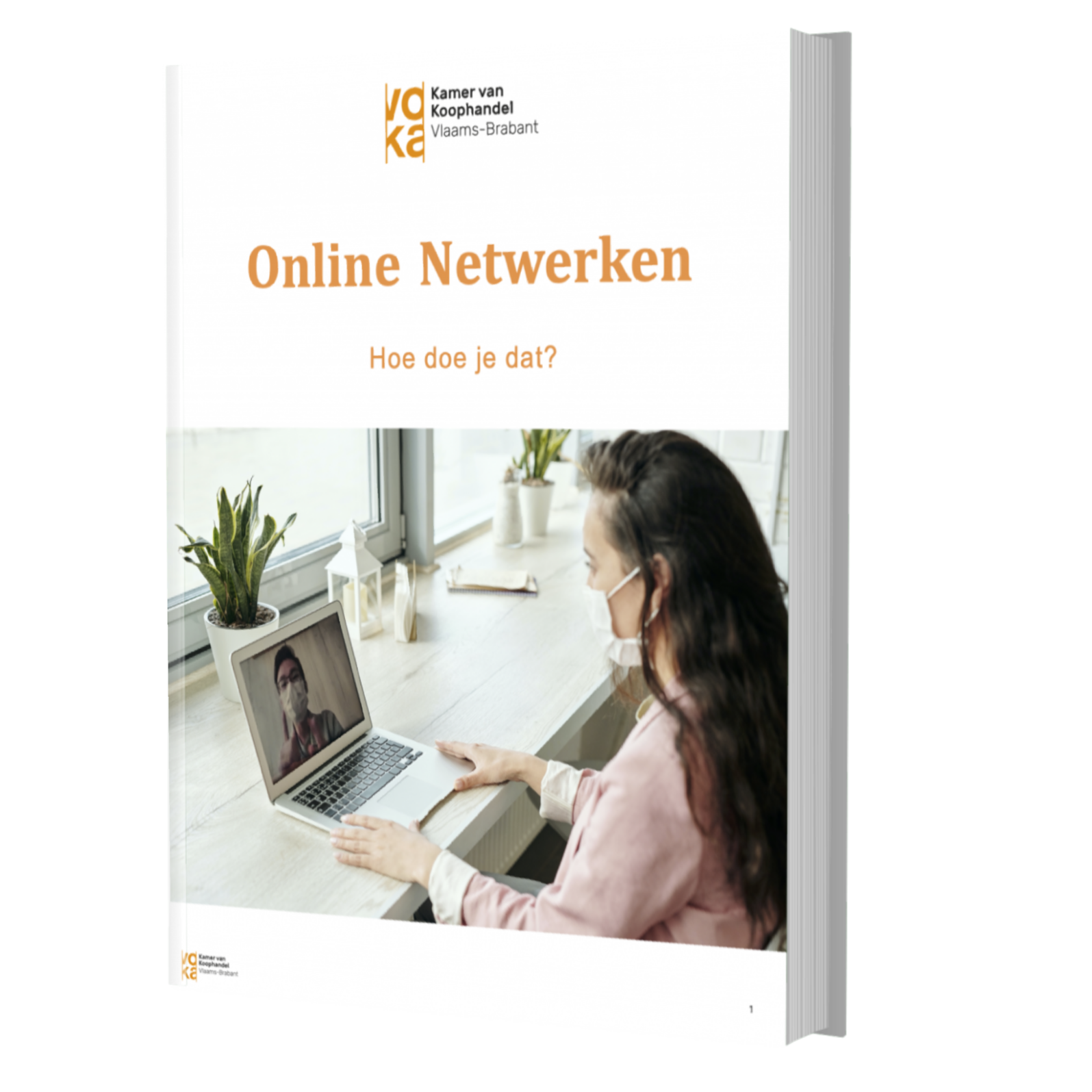 E-book Online netwerken, hoe doe je dat?