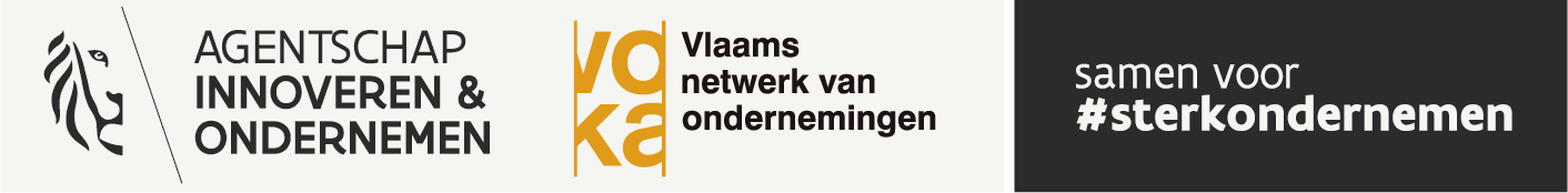 Vlaio sterk ondernemen