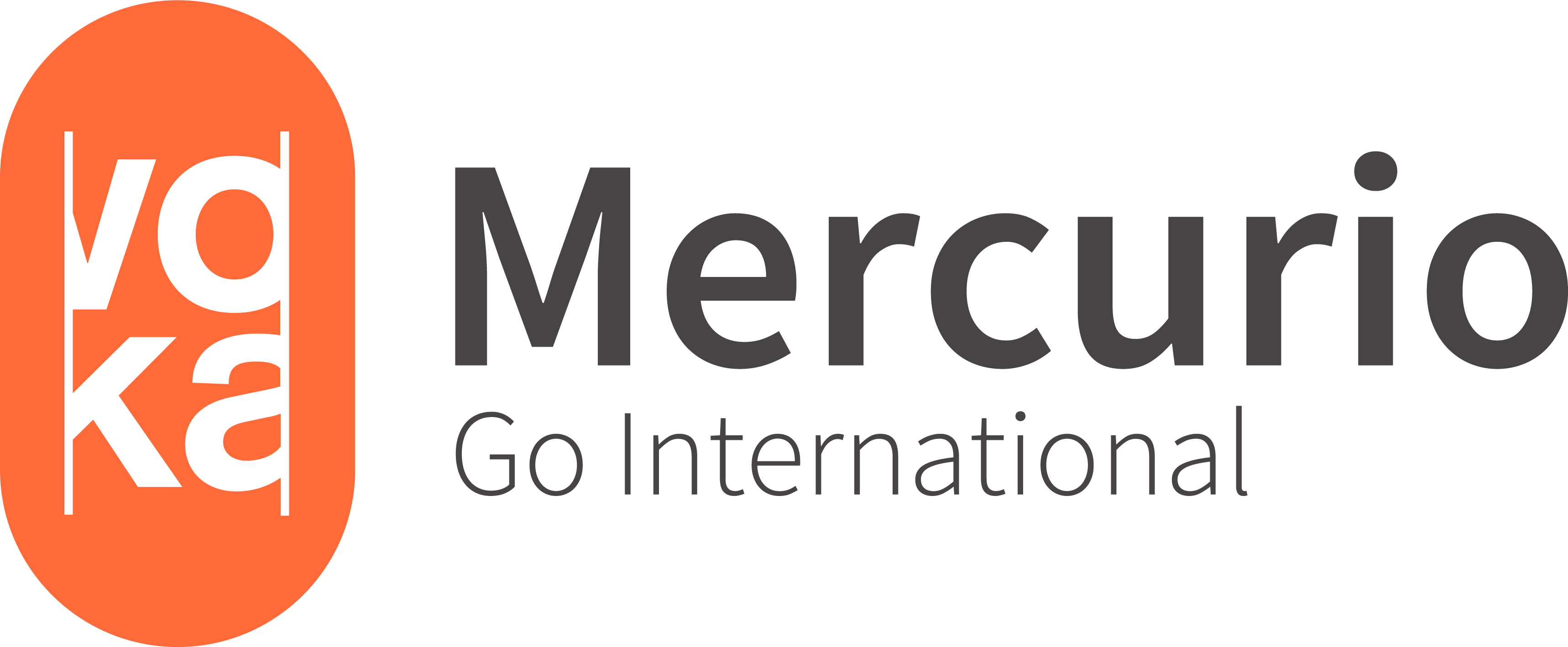 logo mercurio go international