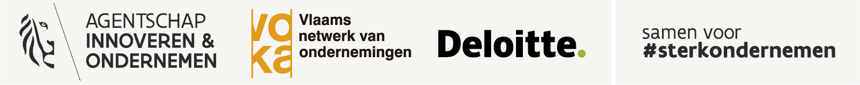 Vlaio Deloitte