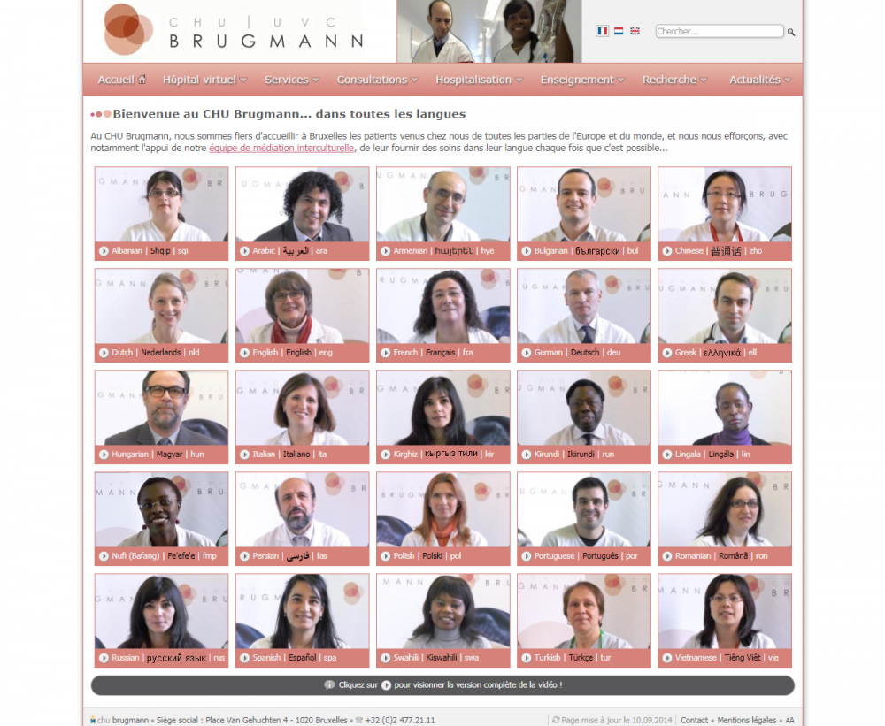 Brugmann website